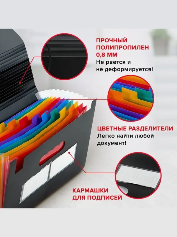 Папка для бумаги А4 на резинке пластиковая Calligrata, 12 отделений, черная Папка для бумаги А4 на резинке пластиковая Calligrata, 12 отделений, черная