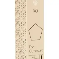Наполнитель для ароматического диффузора XO The Cynosure, 100 мл