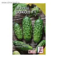 Семена Огурец "Сокол", F1,  0,2 г