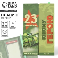 Подарочный набор «23 февраля!», планинг-стикеры 30 л, ручка пластик