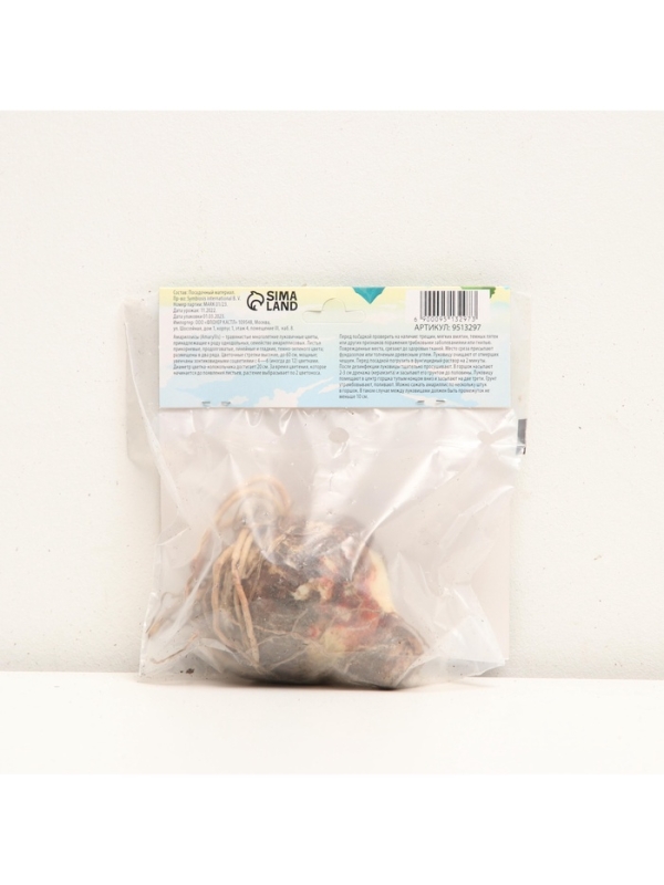 Амариллис Махровый Nymph, многолетник, луковица, р-р 22/24, 1 шт.