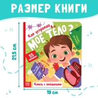 Книга с окошками «Как устроено моё тело?», 55 окошек, энциклопедия