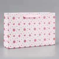 Пакет подарочный ламинированный &laquo;Подарок&raquo;, 22.3&times;9&times;35 см