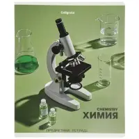 Комплект 12 предметных тетрадей 48 листов, справочная информация, 60гр, Предметы