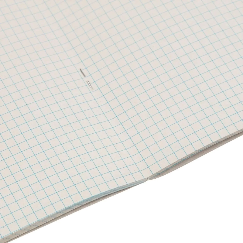 Тетрадь общая А4,48л,кл,скоб,офсет-2 Ice син/зел