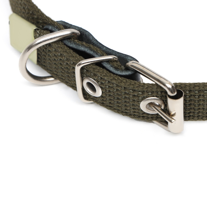 Ошейник брезентовый безразмерный однослойный, 52 х 2 см, ОШ 23-46 см, хаки Ошейник брезентовый безразмерный однослойный, 52 х 2 см, ОШ 23-46 см, хаки