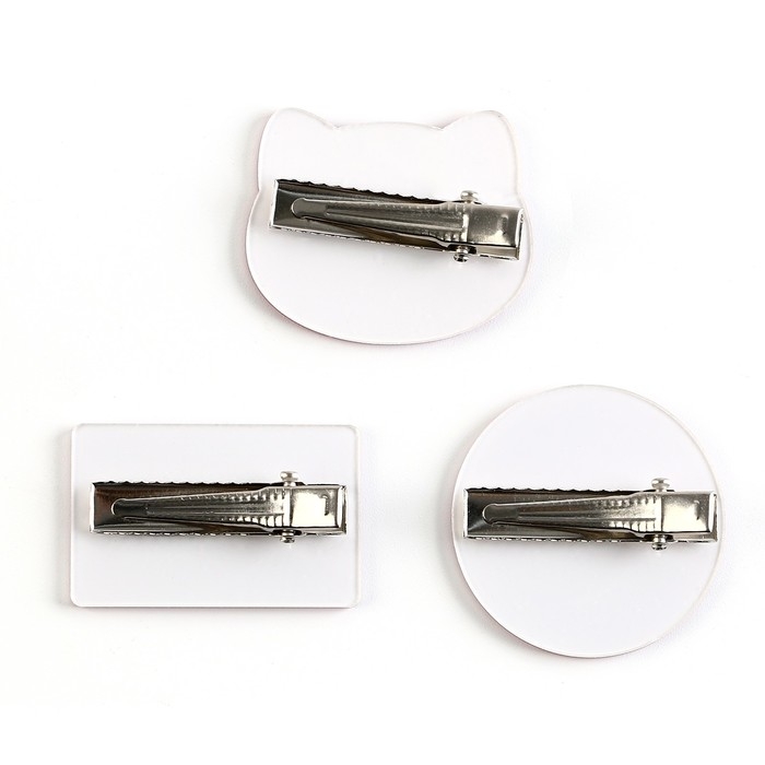 Заколки для волос «Самая необыкновенная» с наклейками, 8.5 х 13 см Заколки для волос «Самая необыкновенная» с наклейками, 8.5 х 13 см