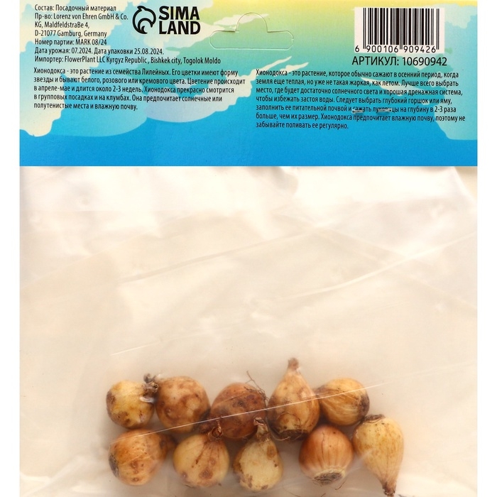 Хионодокса Форбса, р-р 5/+, 10 шт, Осень 2024 Хионодокса Форбса, р-р 5/+, 10 шт, Осень 2024