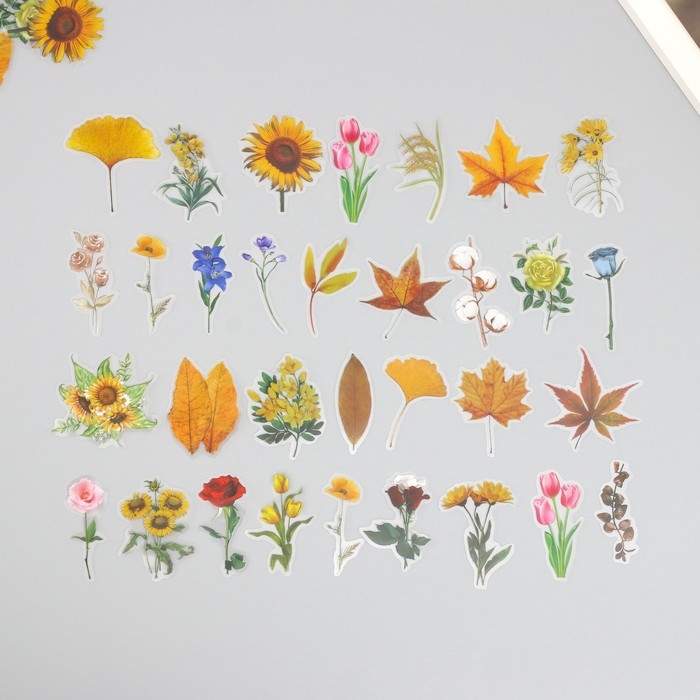 Наклейки для творчества пластик PVC Наклейки для творчества пластик PVC "Разнообразие природы" набор 60 шт 10х14 см