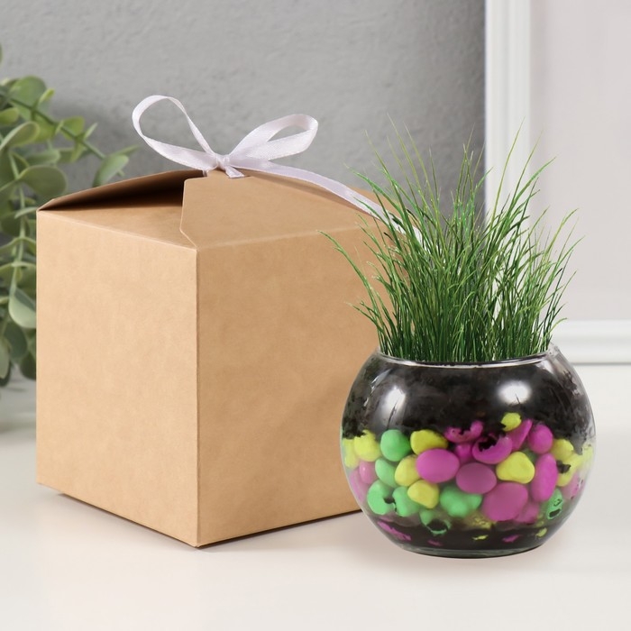 Набор для выращивания растений Набор для выращивания растений "Вырасти травку" шар прозрачный