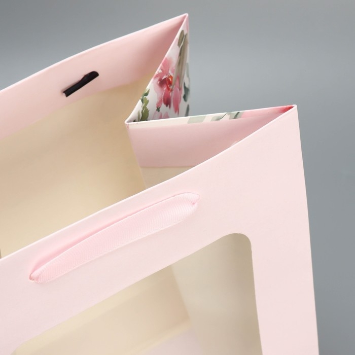 Пакет ламинированный «Подарок», 20 × 30 × 16 см