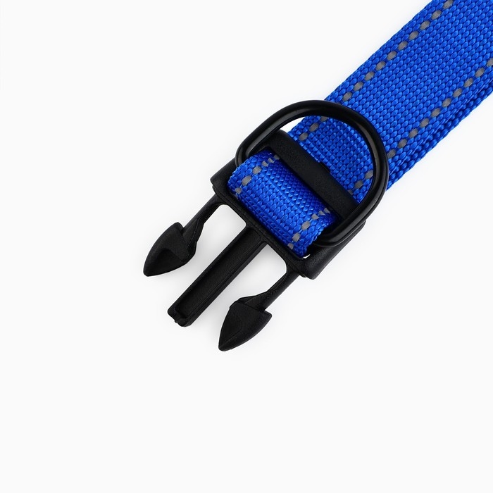 Ошейник из нейлона с фастексом 2,5 см, ОШ 31-48 см, синий Ошейник из нейлона с фастексом 2,5 см, ОШ 31-48 см, синий