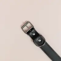 VETTA Ошейник для домашних животных, искусственная кожа, 2,5х50 см, обхват 35,5-45,5 см