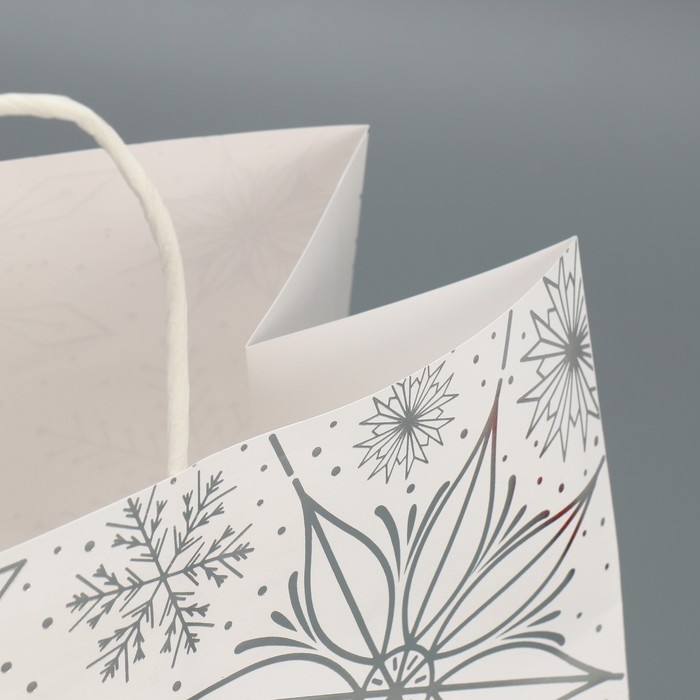 Пакет подарочный новогодний крафтовый Winter, 32 х 28 х 15 см, Новый год Пакет подарочный новогодний крафтовый Winter, 32 х 28 х 15 см, Новый год