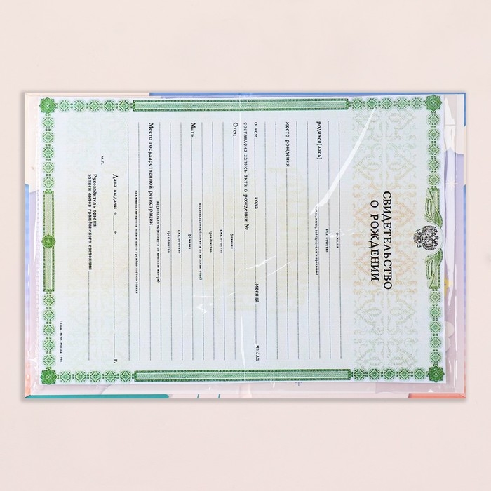 Свидетельство о рождении Свидетельство о рождении "Кролик" тиснение, облака А5