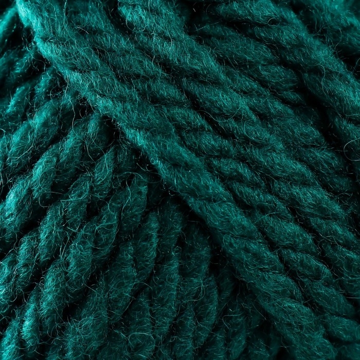 Пряжа Пряжа "Осенняя" 25% шерсть, 75% акрил высокообъемный 150м/200гр (573-Т.изумруд)