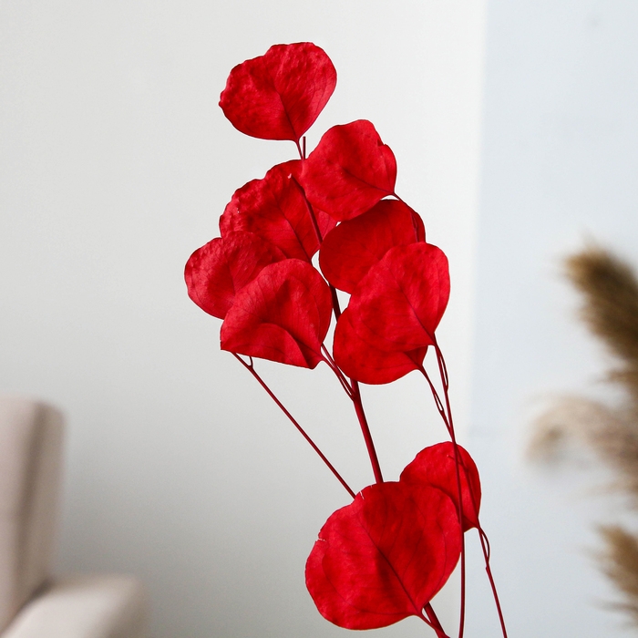 Сухоцвет персикого дерева, 50 г, длина — 70 см, цвет красный Сухоцвет персикого дерева, 50 г, длина — 70 см, цвет красный