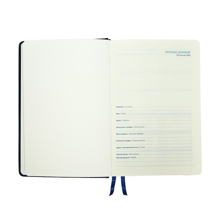 Ежедневник датированный 2025 года, A5, 168 листов в линейку, кожзам  Ежедневник датированный 2025 года, A5, 168 листов в линейку, кожзам "Небраска", серебряный срез, синий