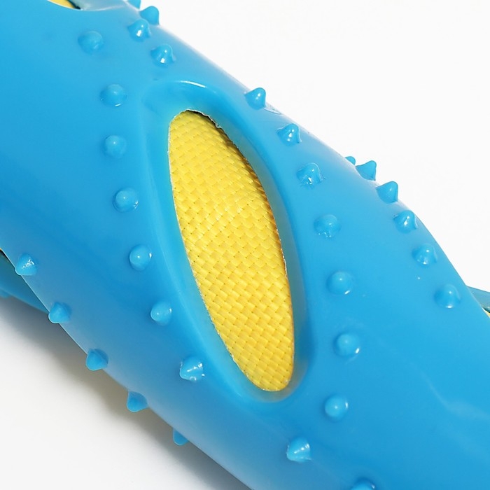 Большая 3-слойная палка, TPR+нейлон+ПВХ, 30 х 4,5 см, голубая/жёлтая Большая 3-слойная палка, TPR+нейлон+ПВХ, 30 х 4,5 см, голубая/жёлтая