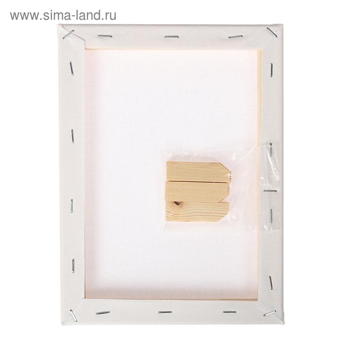 Холст на подрамнике, хлопок 100%, 18 х 24 х 1.8 см, акриловый грунт, мелкозернистый, 280 г/м² Холст на подрамнике, хлопок 100%, 18 х 24 х 1.8 см, акриловый грунт, мелкозернистый, 280 г/м²