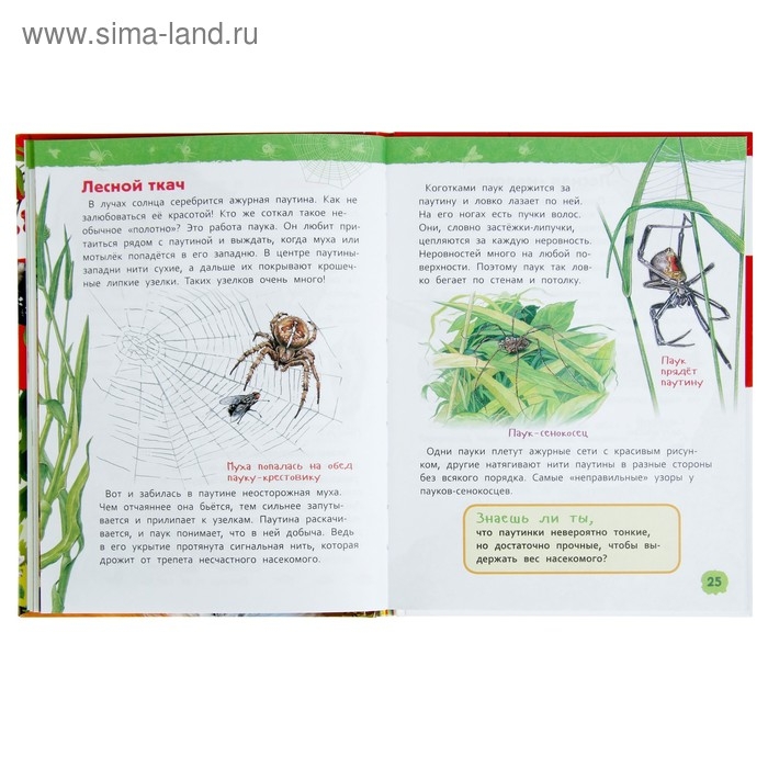 Энциклопедия для детского сада «В лесу» Энциклопедия для детского сада «В лесу»