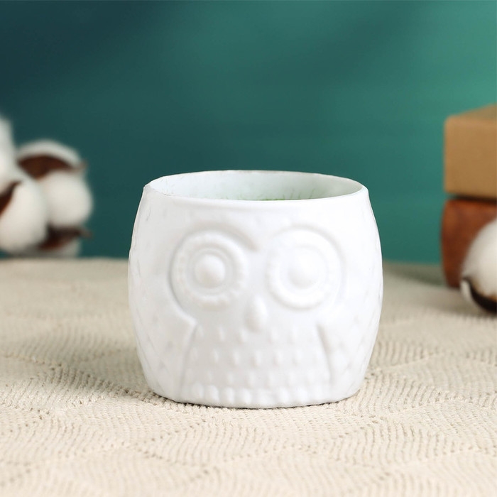 Флористическое кашпо "Совенок" белое, 6,5х6,5х6см