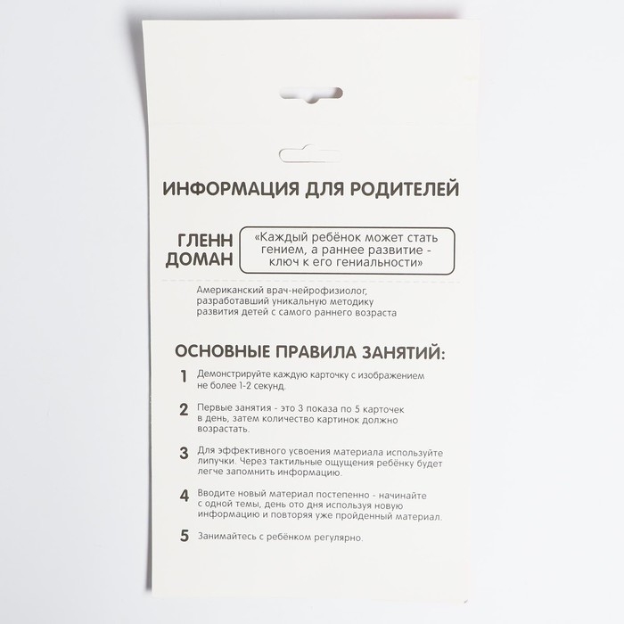Развивающая игра на липучках «Изучаем мир домашних животных», методика Домана, с обучающими карточками по методике Глена Домана Развивающая игра на липучках «Изучаем мир домашних животных», методика Домана, с обучающими карточками по методике Глена Домана