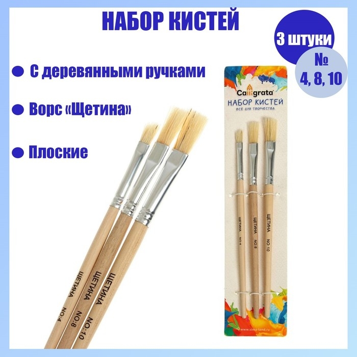 Набор кистей щетина 3 штуки: № 4, 8, 10, плоские Набор кистей щетина 3 штуки: № 4, 8, 10, плоские