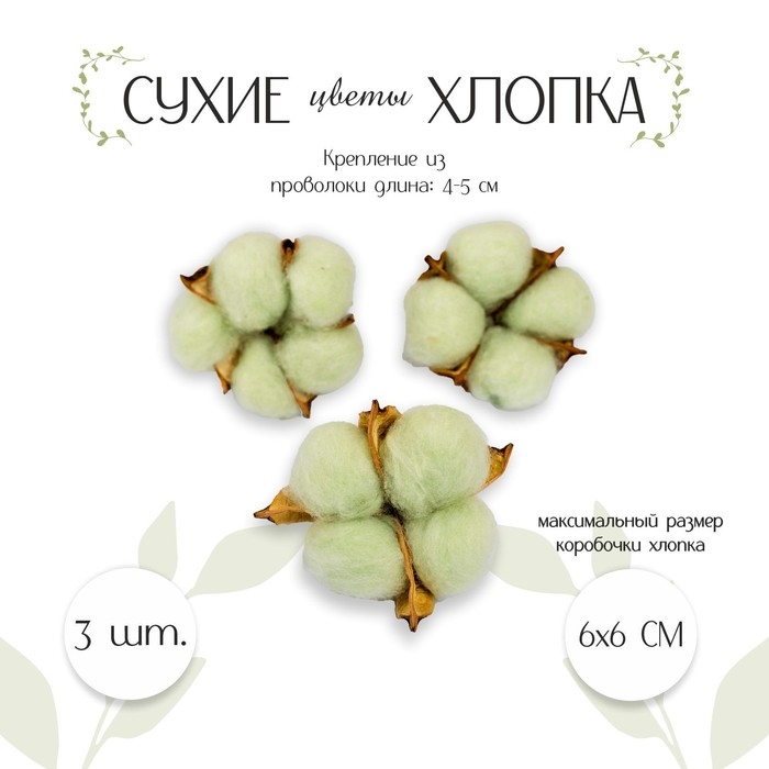 Сухие цветы хлопка, набор 3 шт., размер 1 шт. 6 × 6 см, цвет зелёный Сухие цветы хлопка, набор 3 шт., размер 1 шт. 6 × 6 см, цвет зелёный