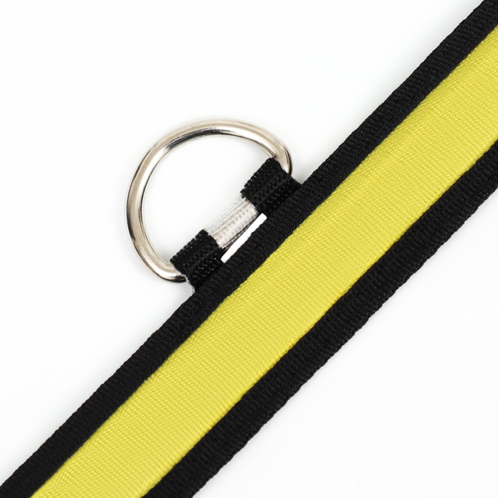 Ошейник с подсветкой Flash 3 режима свечения, размер XL, ОШ 52-60 х 2,5 см жёлтый Ошейник с подсветкой Flash 3 режима свечения, размер XL, ОШ 52-60 х 2,5 см жёлтый