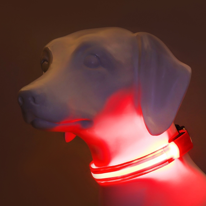 Ошейник с подсветкой Двойная полоса размер L, ОШ 45-52 х 2,5 см, 3 режима свечения красный Ошейник с подсветкой Двойная полоса размер L, ОШ 45-52 х 2,5 см, 3 режима свечения красный