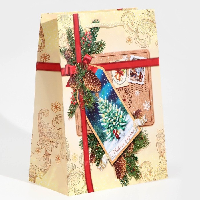 Пакет подарочный новогодний ламинированный «С Новым годом!», MS 18 х 23 х 8 см Пакет подарочный новогодний ламинированный «С Новым годом!», MS 18 х 23 х 8 см