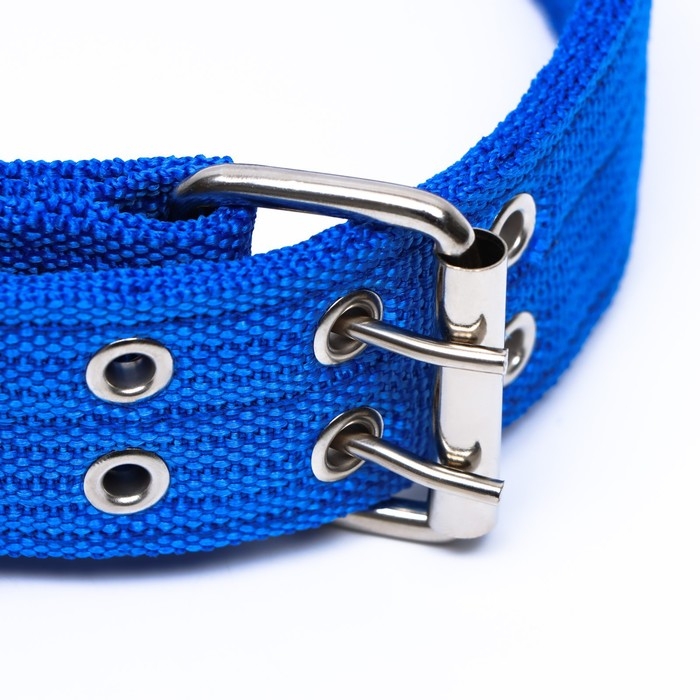 Ошейник четырехслойный с вертлюгом, 80 х 4,9 см, ОШ 64-74 см, полиэстер, синий Ошейник четырехслойный с вертлюгом, 80 х 4,9 см, ОШ 64-74 см, полиэстер, синий