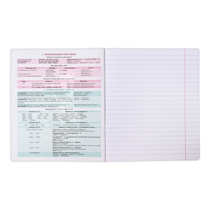 Тетрадь предметная РУССКИЙ ЯЗЫК, 48 листов в линейку, ErichKrause Persons, пластиковая обложка, шелкография, блок офсет 100% белизна, инфо-блок