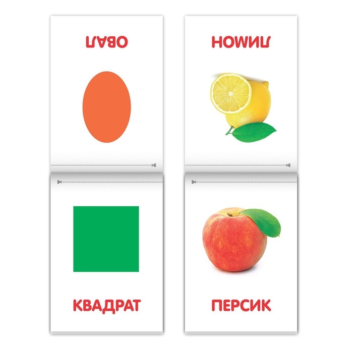 Книги «Карточки Домана на скрепке», набор, 8 шт. по 20 стр. Книги «Карточки Домана на скрепке», набор, 8 шт. по 20 стр.