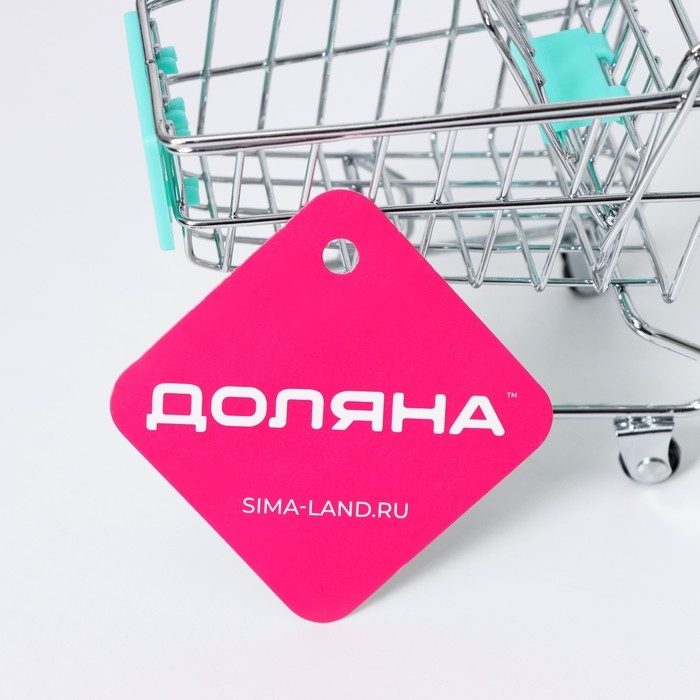 Корзина для мелочей Доляна, 12,5×8×11 см, цвет МИКС Корзина для мелочей Доляна, 12,5×8×11 см, цвет МИКС