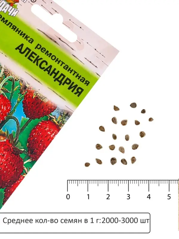 Семена Земляника &laquo;Александрия&raquo;, 0.04 г, ремонтантная, &laquo;Урожай удачи&raquo;