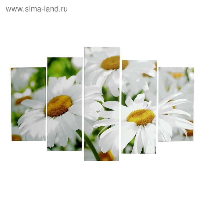 Картина модульная на подрамнике  Картина модульная на подрамнике "Ромашки" 2шт-25х52; 2шт-25х67; 1шт-25х80см  80*125 см