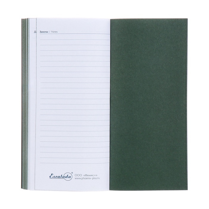 Еженедельник датированный 2025 года, 80х165 мм, 64 листа ESCALADA, мягкая обложка из искусственной кожи, блинтовое тиснение, блок 70 г/м², зелёный Еженедельник датированный 2025 года, 80х165 мм, 64 листа ESCALADA, мягкая обложка из искусственной кожи, блинтовое тиснение, блок 70 г/м², зелёный