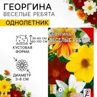 Семена цветов Георгина &laquo;Веселые ребята&raquo;, однолетник, 0.1 г, &laquo;Сембат&raquo;