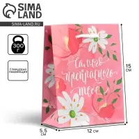 Пакет подарочный ламинированный, упаковка, «Прекрасного тебе», S 12 х 15 х 5.5 см