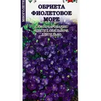 Семена Обриета Фиолетовое море /Сотка/ 0,05г/ h-10-15см d-1-1,5см /*1500 Семена Обриета Фиолетовое море /Сотка/ 0,05г/ h-10-15см d-1-1,5см /*1500