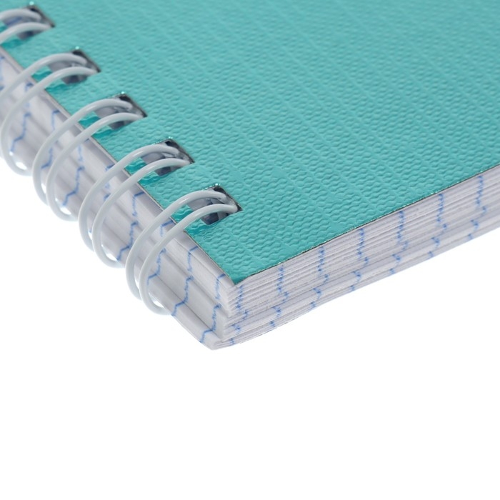 Тетрадь 96 листов в клетку на гребне Тетрадь 96 листов в клетку на гребне "Мята. METALLIC", обложка бумвинил, блок офсет