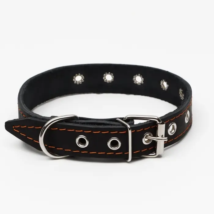 Ошейник однослойный, безразмерный, 56&times;2.5 см, ОШ 17-44 см, кожа, чёрный