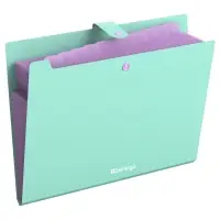 Папка А4, 12 отделений, Haze, 600 мкм, на кнопке, мятная