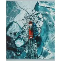 Тетрадь 5 штук, 48 листов в клетку Calligrata &laquo;Антарктида&raquo;, блок офсет, 5 видов