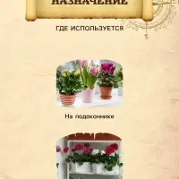 Грунт для Комнатных растений PETER PEAT линия &laquo;Хобби&raquo;, 10 л