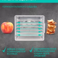 Сушилка для овощей и фруктов, дегидратор T-PFD42149