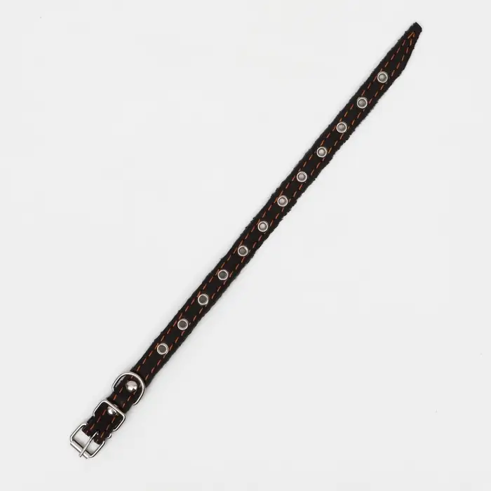 Ошейник кожаный однослойный, безразмерный, 37&times;1.5 см, ОШ 21-32 см, чёрный