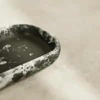 VETTA Поднос "Космос", доломит, 26х11,5х3см